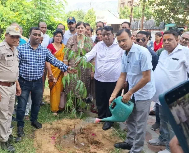 csr_tree-plantation